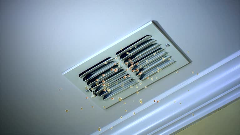 Best HVAC System Cleaning  in Eulyptus Hills, CA