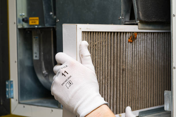 Best Air Duct Cleaning Near Me in Eucalyptus Hills, CA