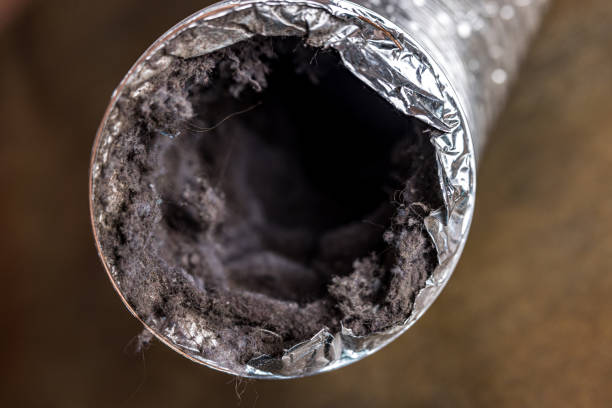 Best Home Air Vent Cleaning  in Eulyptus Hills, CA