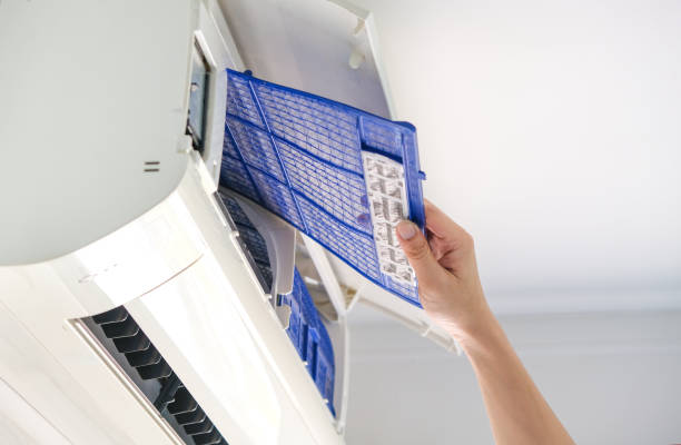 Best Affordable Air Duct Cleaning  in Eulyptus Hills, CA